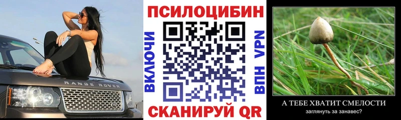 Галлюциногенные грибы GOLDEN TEACHER Петров Вал